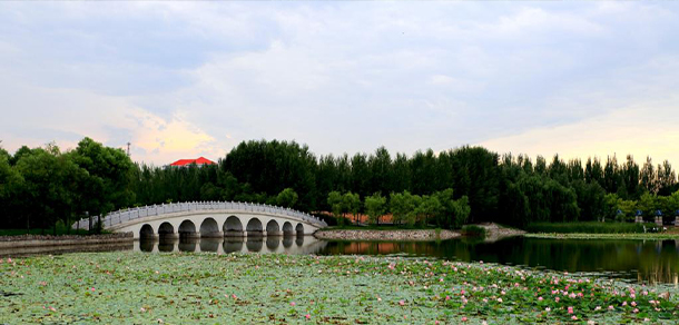 东北石油大学