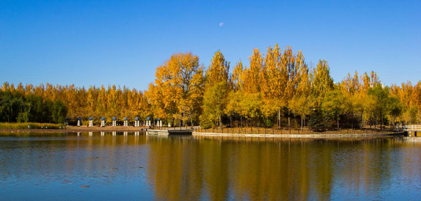 东北石油大学