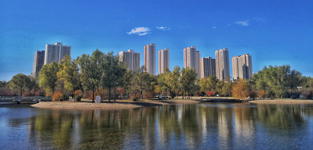 黑龙江八一农垦大学