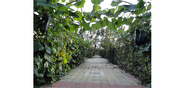 黑龙江三江美术职业学院 - 最美大学