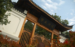 复旦大学