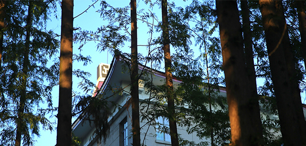 华东师范大学 - 最美大学