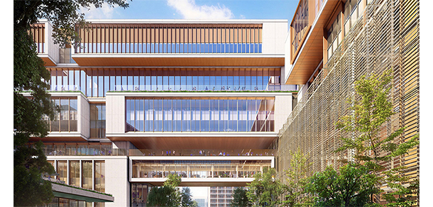上海纽约大学 - 最美大学