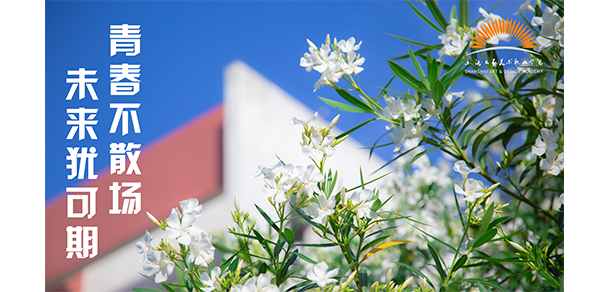 上海工艺美术职业学院 - 最美大学